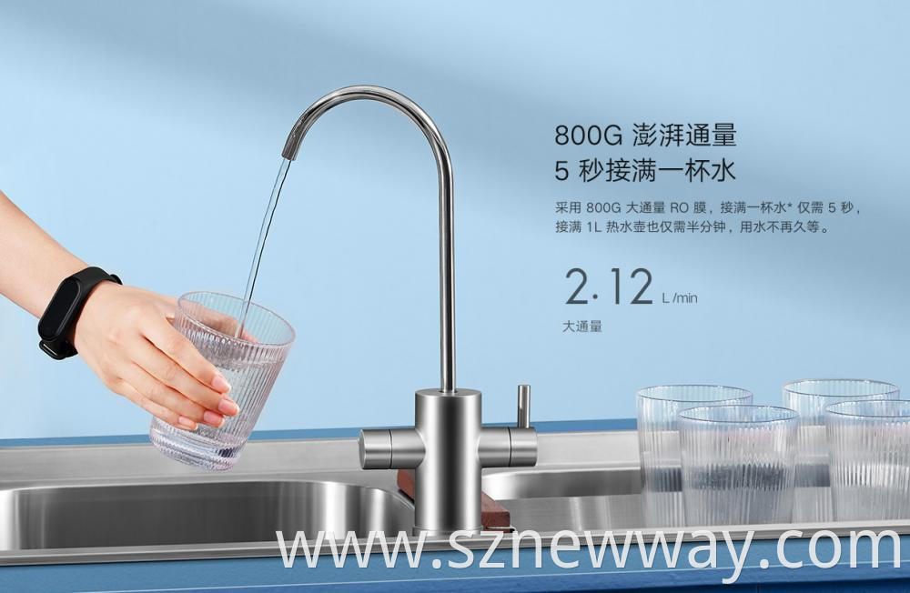 Xiaomi H800g Water Filters